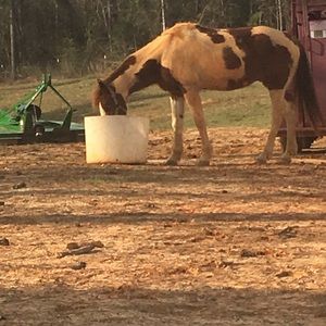 Meet your Posher, Lulu